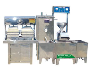 專業(yè)彩色果蔬豆腐機制造商 創(chuàng)新技術引領健康飲食新風尚